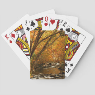 USA, Tennessee. Rushalsberg Bäck 3 Spel Kort