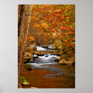 USA, Tennessee. Rushalsberget Bäck Poster