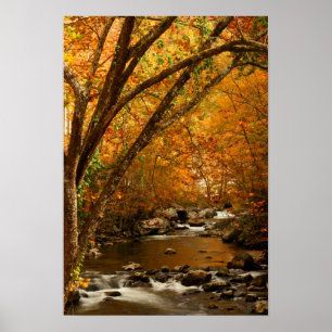 USA, Tennessee. Rushing Mountain Bäck 3 Poster