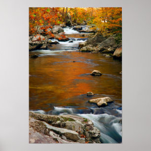 USA, Tennessee. Rushing Mountain Bäck 4 Poster