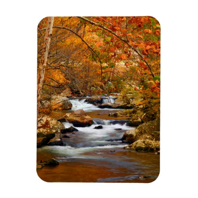 USA, Tennessee. Rushing Mountain Bäck Magnet (Vertikal)