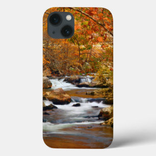 USA, Tennessee. Rushing Mountain Creek