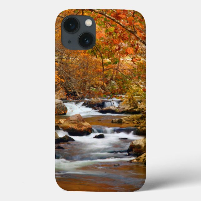 USA, Tennessee. Rushing Mountain Creek (Baksida)