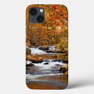 USA, Tennessee. Rushing Mountain Creek