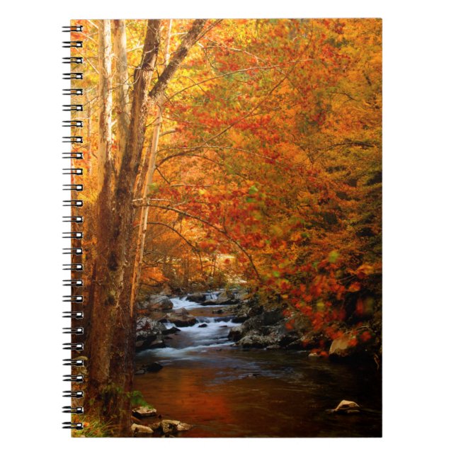 USA, Tennessee. Rushing Mountain Creek 2 Anteckningsbok (Framsidan)