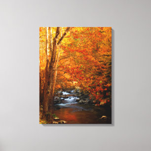 USA, Tennessee. Rushing Mountain Creek 2 Canvastryck