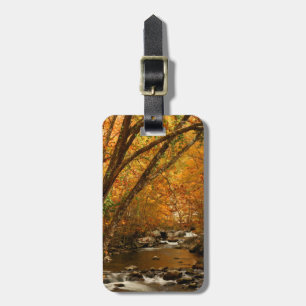 USA, Tennessee. Rushing Mountain Creek 3 Bagagebricka