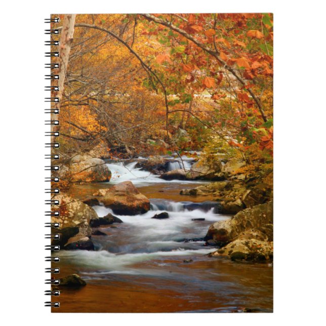 USA, Tennessee. Rushing Mountain Creek Anteckningsbok Med Spiral (Framsidan)