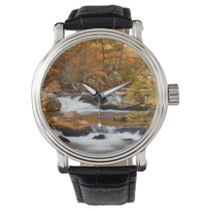 USA, Tennessee. Rushing Mountain Creek Armbandsur