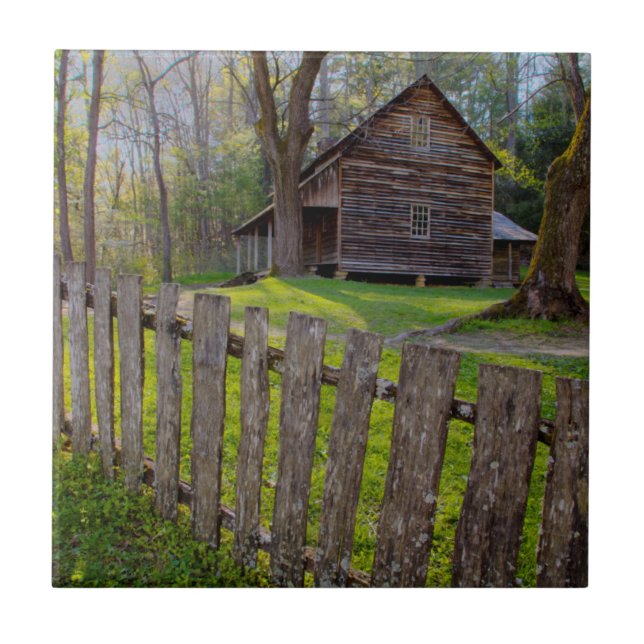 USA, Tennessee, Stuga i Cades Cove Kakelplatta (Framsidan)