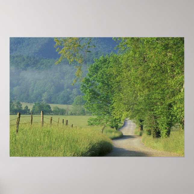 USA, Tennessee, Underbar Smoky Mountains NP Poster (Framsidan)