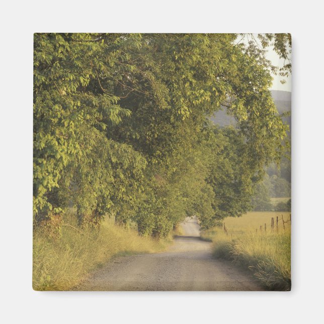 USA, Tennessee, Underbara Rökbergen National 2 Magnet (Framsidan)