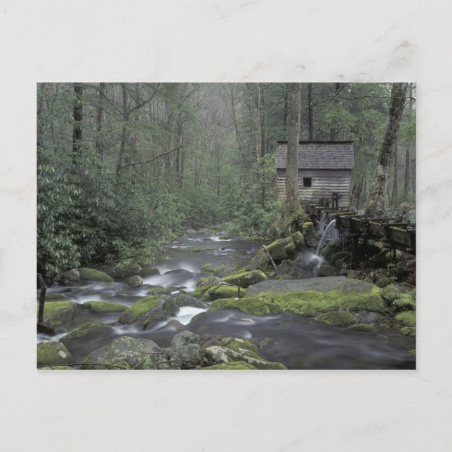 USA, Tennessee, Underbara Rökbergen National 3 Vykort (Framsida)