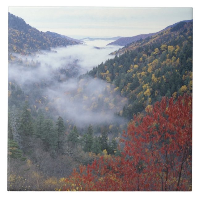 USA, Tennessee, Underbarare Smokey Mountains Natio Kakelplatta (Framsidan)