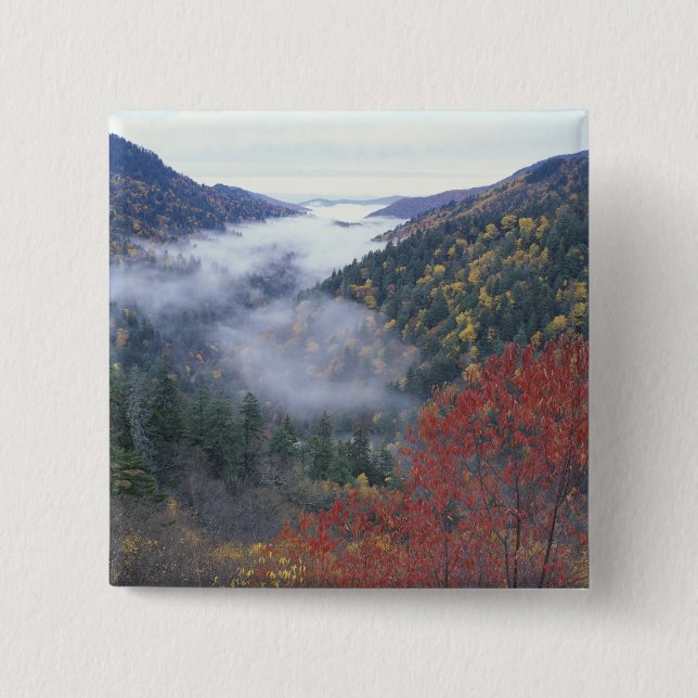 USA, Tennessee, Underbarare Smokey Mountains Natio Knapp (Framsida)