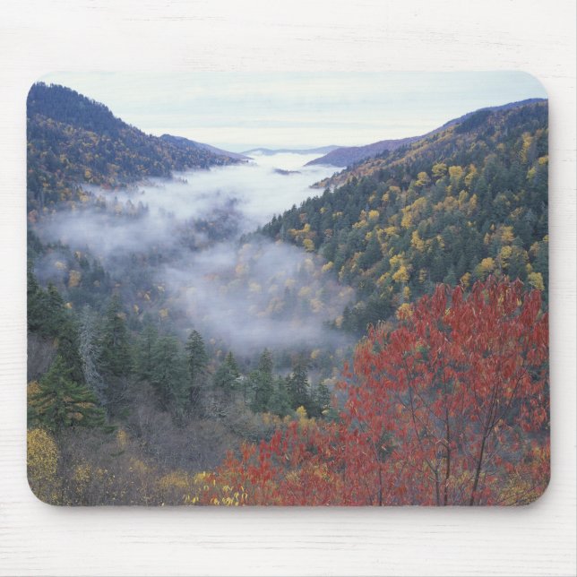 USA, Tennessee, Underbarare Smokey Mountains Natio Musmatta (Framsidan)