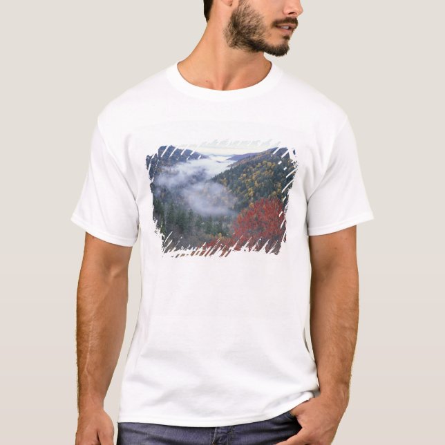 USA, Tennessee, Underbarare Smokey Mountains Natio Tee Shirt (Framsida)
