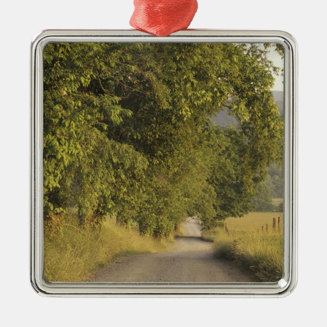 USA, Tennessee, Underbarare Smoky Mountains Nation Julgransprydnad Metall (Framsidan)