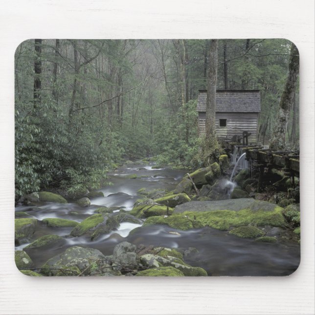 USA, Tennessee, Underbarare Smoky Mountains Nation Musmatta (Framsidan)