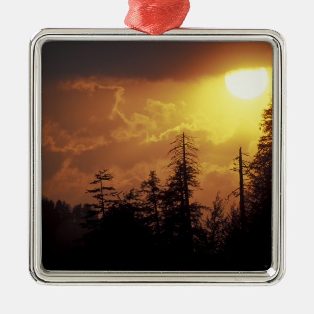 USA, Tennessee, Underbarare Smoky Mountains NP. 2 Julgransprydnad Metall (Framsidan)