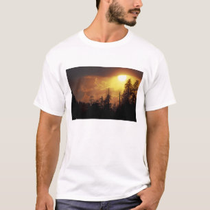 USA, Tennessee, Underbarare Smoky Mountains NP. 2 T-shirt