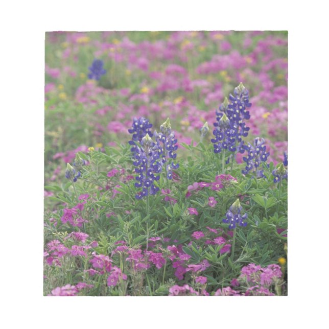 USA, Texas Backe Land. Blånät mellan blommor Anteckningsblock (Framsida)