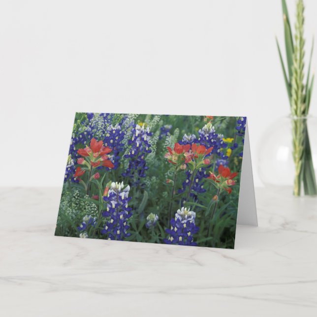 USA, Texas Backe Land. Blåredskap och Kort (Framsida)