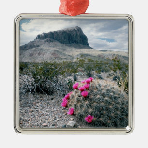 USA, Texas, Big Bend National Park. Blommande Julgransprydnad Metall