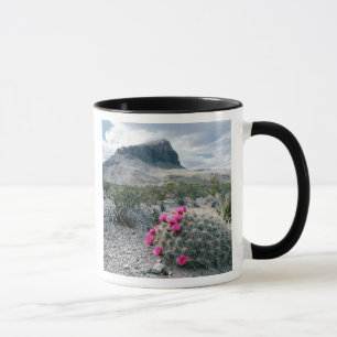 USA, Texas, Big Bend National Park. Blommande Mugg