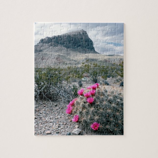 USA, Texas, Big Bend National Park. Blommande Pussel (Vertikal)