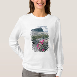 USA, Texas, Big Bend National Park. Blommande Tee