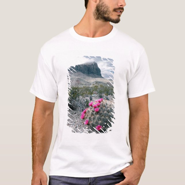 USA, Texas, Big Bend National Park. Blommande Tee Shirt (Framsida)