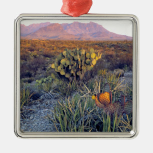 USA, Texas, Big Bend NP. En sandig rosa skymning Julgransprydnad Metall