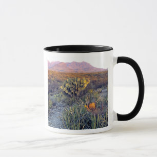 USA, Texas, Big Bend NP. En sandig rosa skymning Mugg