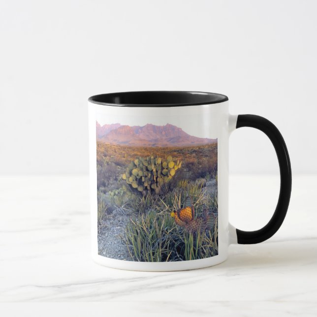 USA, Texas, Big Bend NP. En sandig rosa skymning Mugg (Höger)