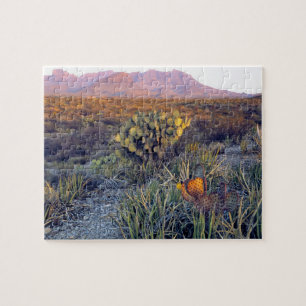 USA, Texas, Big Bend NP. En sandig rosa skymning Pussel