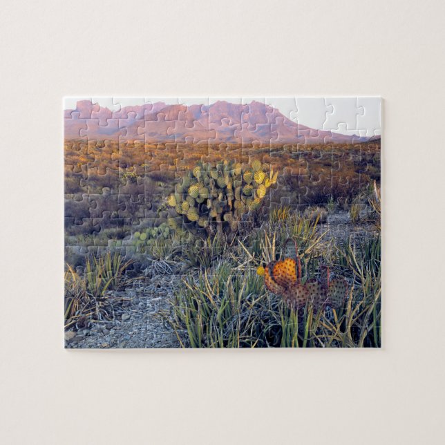 USA, Texas, Big Bend NP. En sandig rosa skymning Pussel (Horisontell)