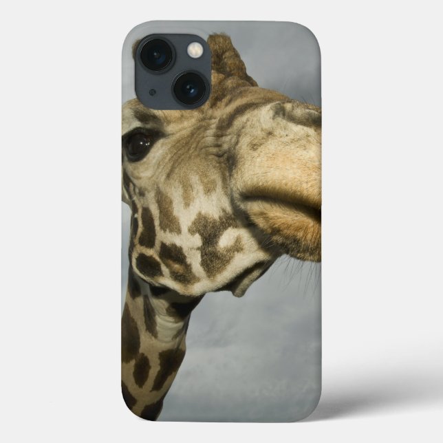 USA, Texas, Fossil Rim Wildlife Area, giraff (Baksida)