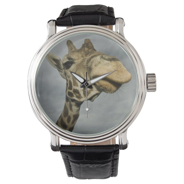 USA, Texas, Fossil Rim Wildlife Area, giraff Armbandsur (Framsida)