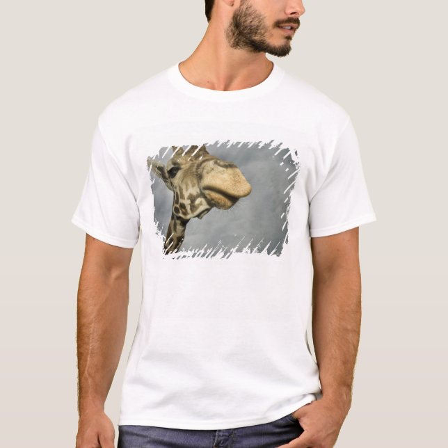 USA, Texas, Fossil Rim Wildlife Area, giraff T-shirt (Framsida)