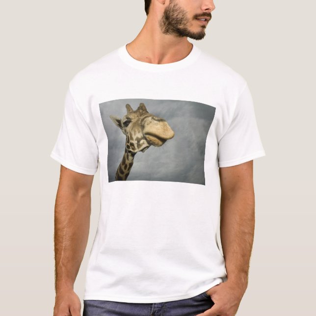 USA, Texas, Fossil Rim Wildlife Area, giraffe Tee Shirt (Framsida)