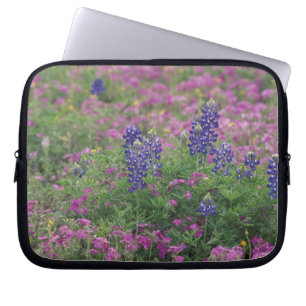 USA, Texas Hill Country. Blåbon bland flox Laptop Sleeve