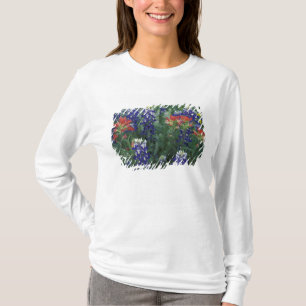 USA, Texas Hill Country. Blåbon och T-shirt