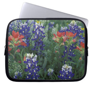 USA, Texas Hill Country. Blåboniter och Laptop Sleeve