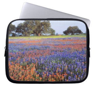 USA, Texas, Llano. Blåbonnet och röda bonnet Laptop Fodral