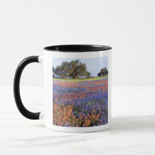 USA, Texas, Llano. Bluebonnets och redbonnets Mugg