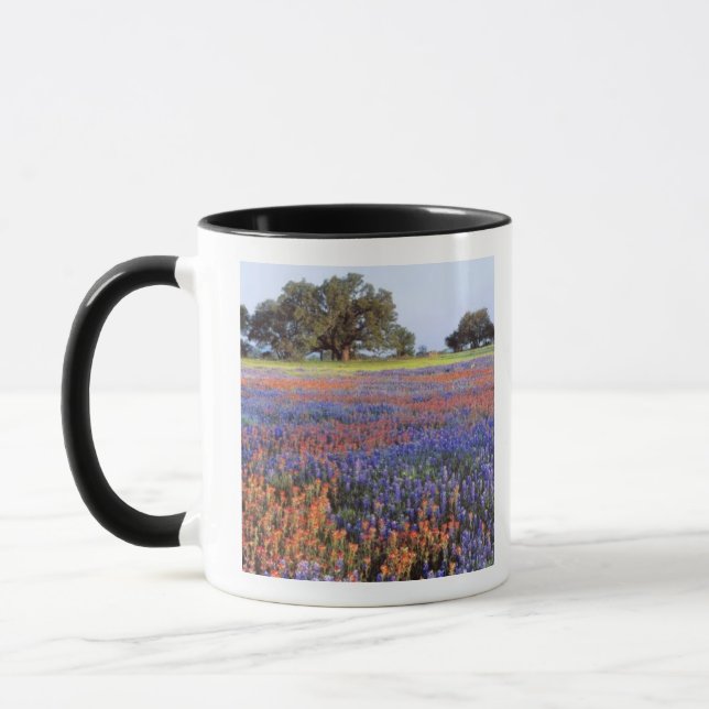 USA, Texas, Llano. Bluebonnets och redbonnets Mugg (Vänster)