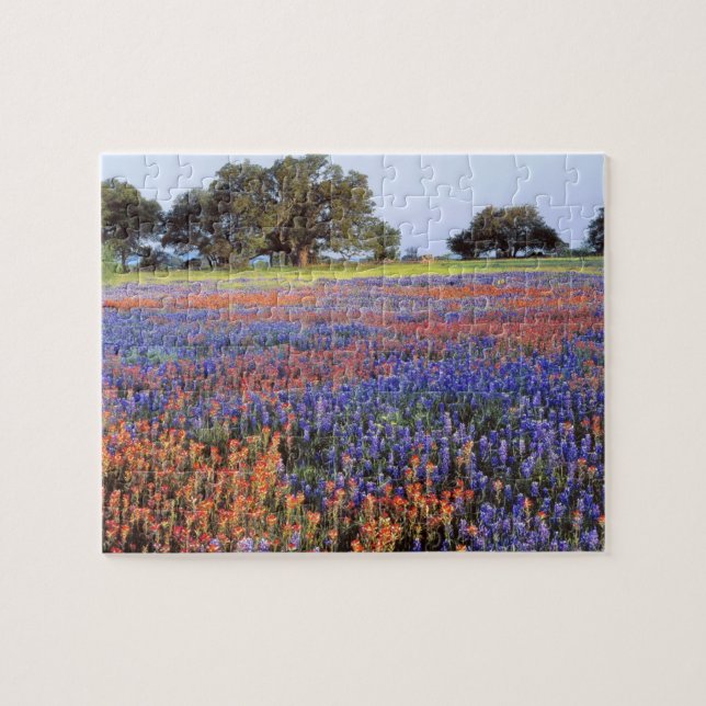 USA, Texas, Llano. Bonngarn och redskapsgarn Pussel (Horisontell)