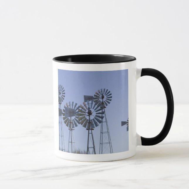 USA, TEXAS, Lubbock: American Wind Power Center Mugg (Höger)