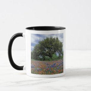 USA, Texas, Marble Falls Penselborste och Mugg